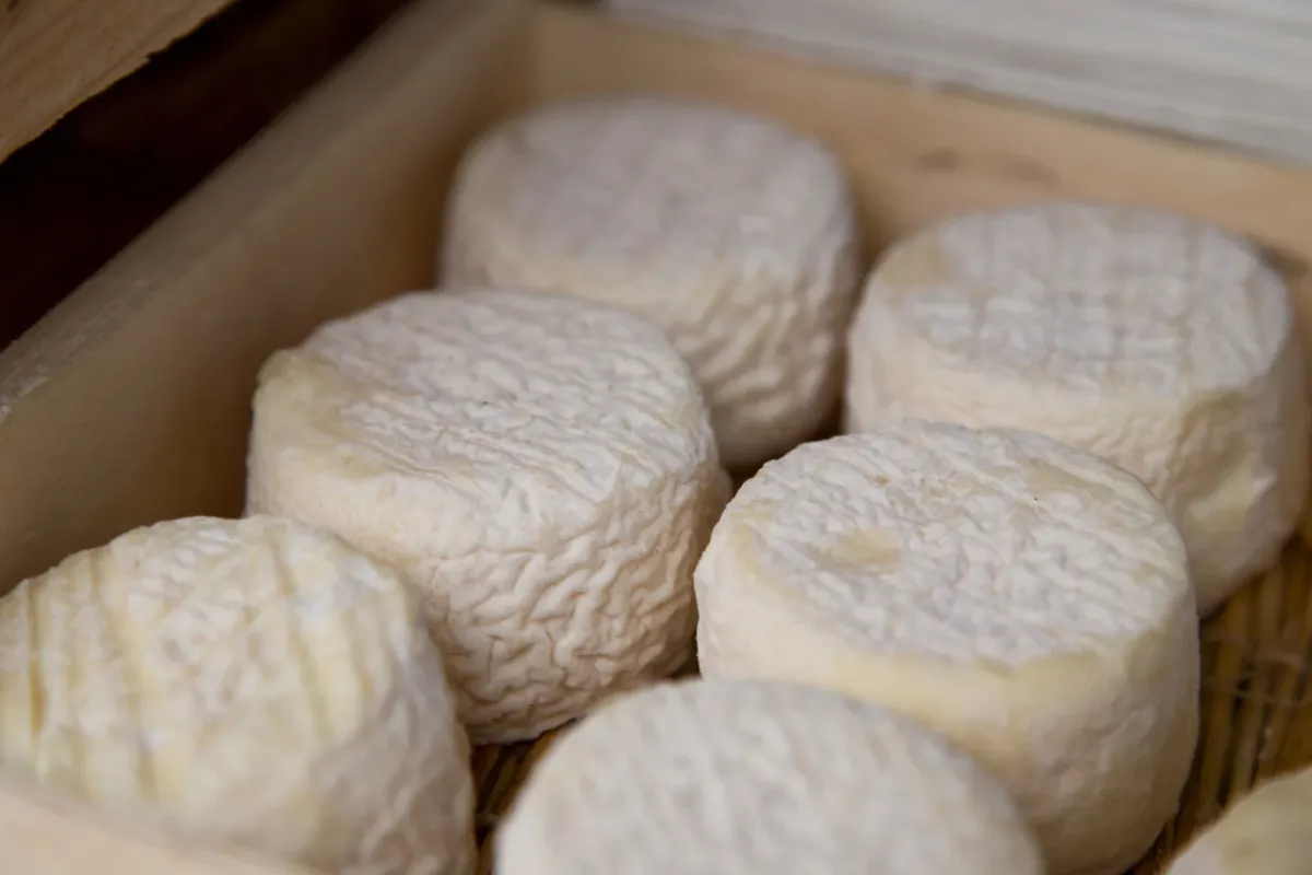 Par quoi remplacer le Brocciu dans les Migliaccioli corses ?